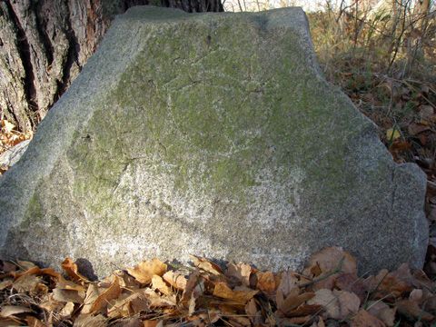 Foto 31